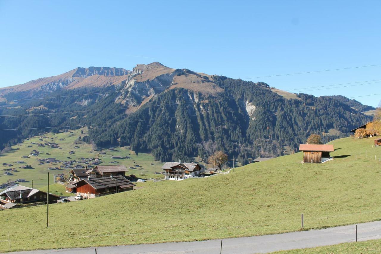 Chalet Weissenberg Lenk Exteriör bild